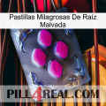 Pastillas Milagrosas De Raíz Malvada 02